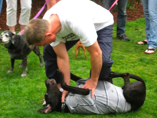 Cesar Millan Fotoğrafı