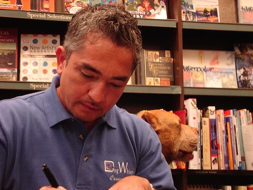 Cesar Millan Fotoğrafı