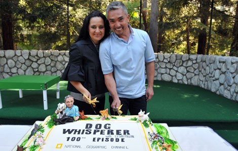 Cesar Millan Fotoğrafı