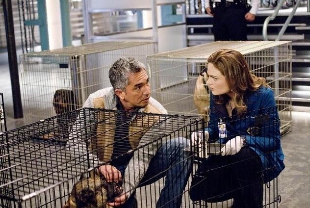 Cesar Millan Fotoğrafı