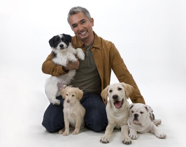 Cesar Millan Fotoğrafı