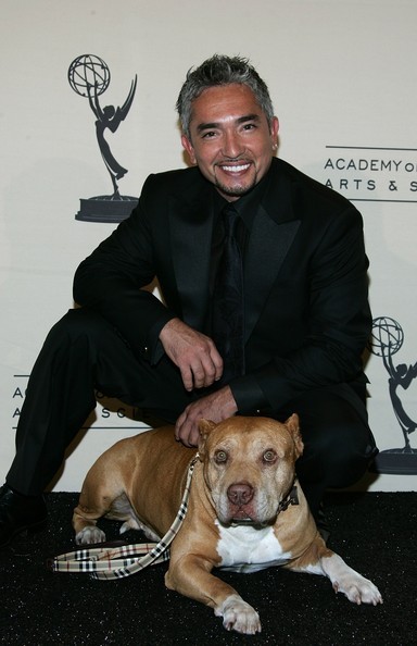 Cesar Millan Fotoğrafı