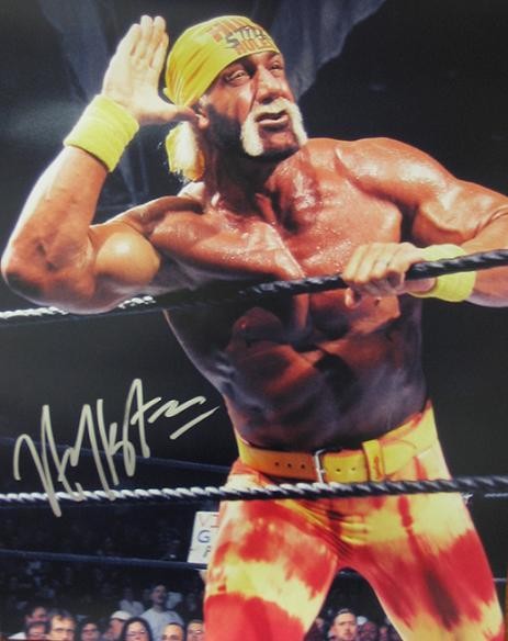 Hulk Hogan fotoğrafı