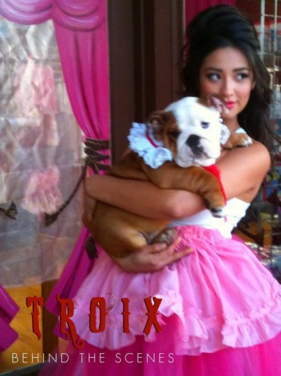 Shay Mitchell Fotoğrafı