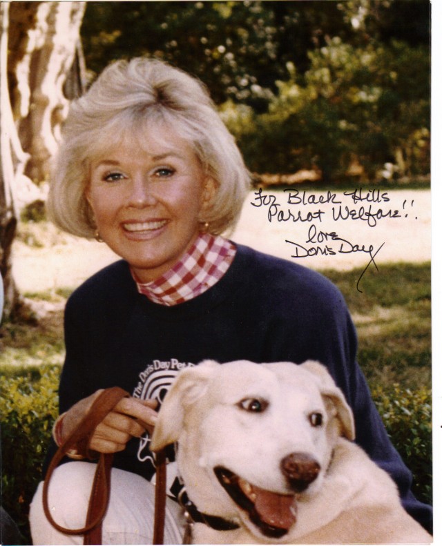 Doris Day Fotoğrafı