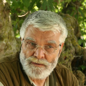 Murat Soydan fotoğrafı