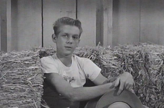 David Stollery Fotoğrafı