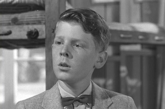 David Stollery Fotoğrafı