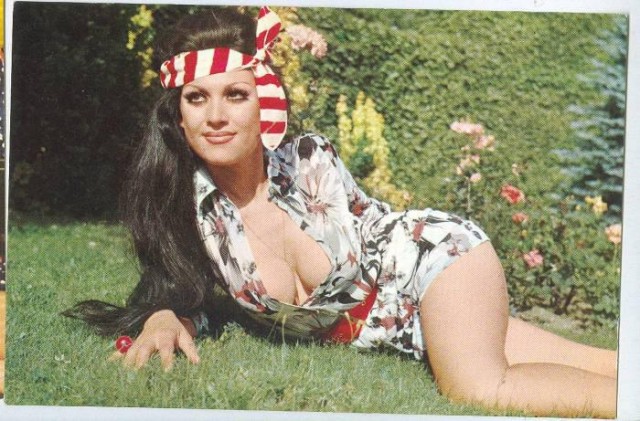 Feri Cansel fotoğrafı