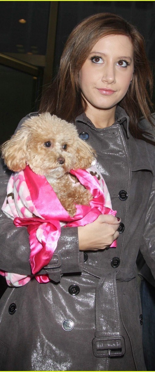 Ashley Tisdale Fotoğrafı