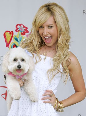 Ashley Tisdale Fotoğrafı