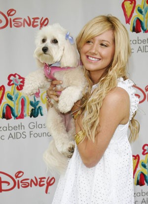 Ashley Tisdale Fotoğrafı