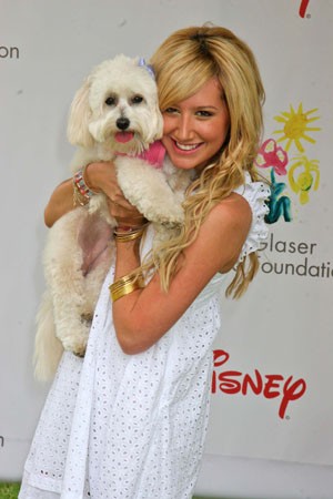 Ashley Tisdale Fotoğrafı