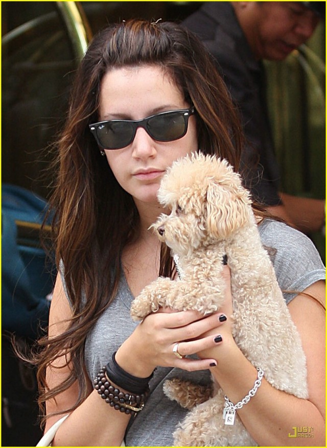 Ashley Tisdale Fotoğrafı