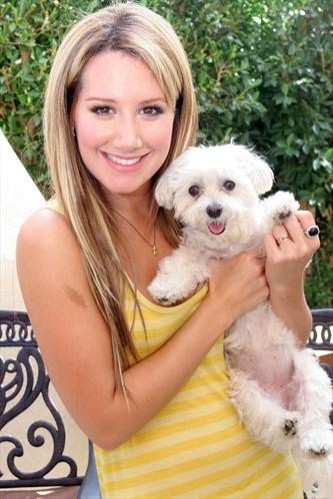 Ashley Tisdale Fotoğrafı