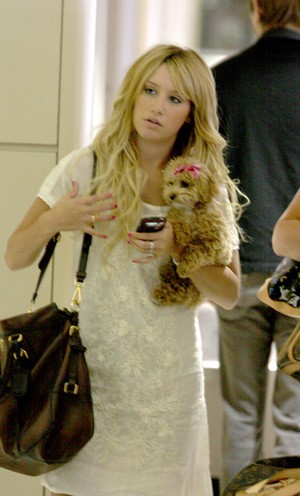 Ashley Tisdale Fotoğrafı