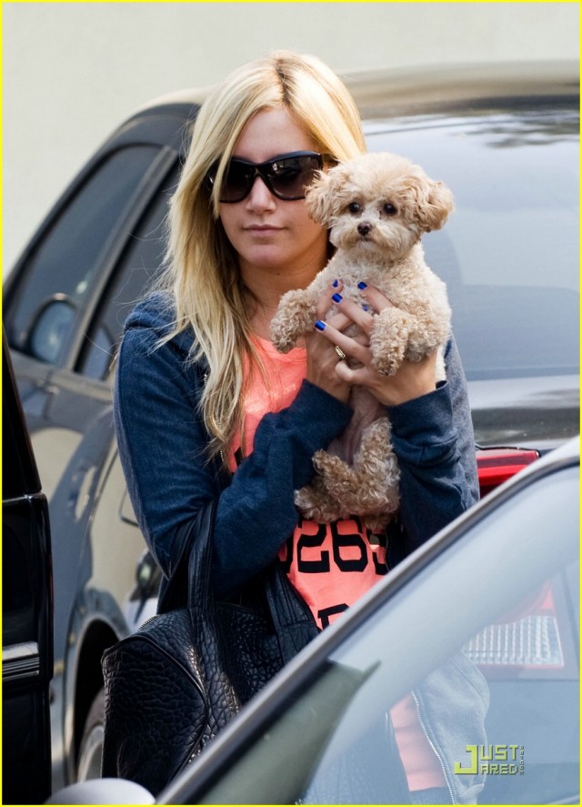 Ashley Tisdale Fotoğrafı