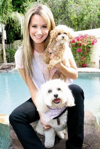 Ashley Tisdale Fotoğrafı