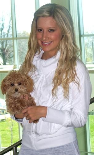 Ashley Tisdale Fotoğrafı