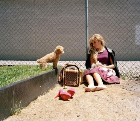 Ashley Tisdale Fotoğrafı