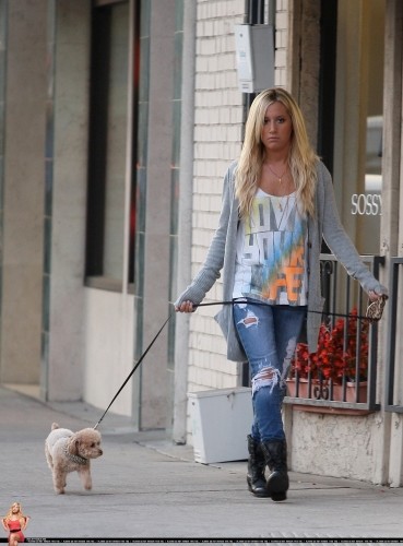 Ashley Tisdale Fotoğrafı