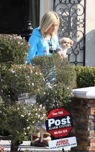 Ashley Tisdale Fotoğrafı