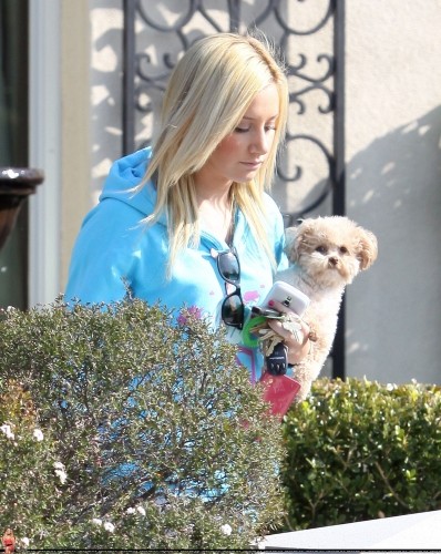 Ashley Tisdale Fotoğrafı