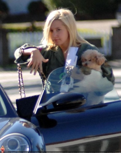 Ashley Tisdale Fotoğrafı