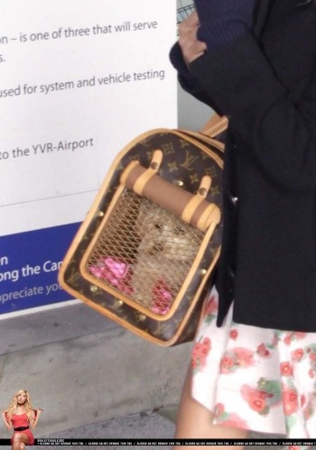 Ashley Tisdale Fotoğrafı