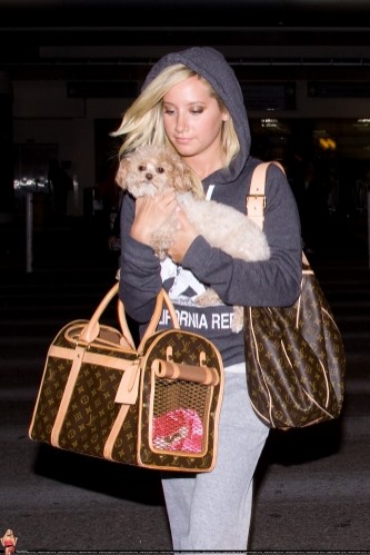 Ashley Tisdale Fotoğrafı
