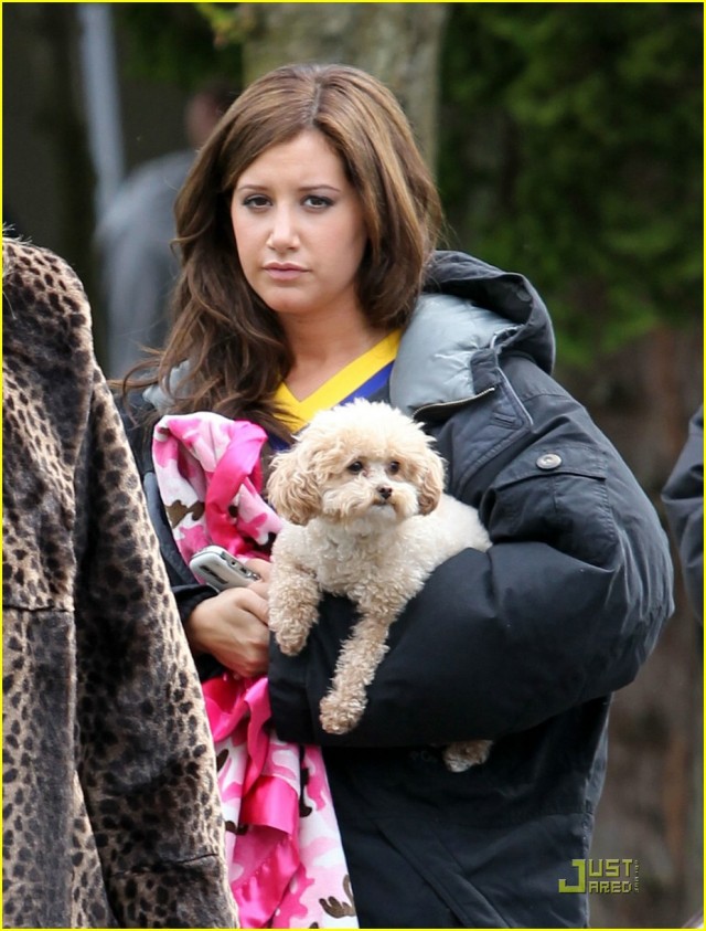 Ashley Tisdale Fotoğrafı