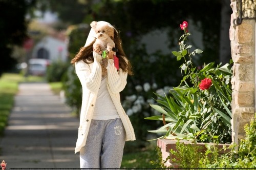 Ashley Tisdale Fotoğrafı