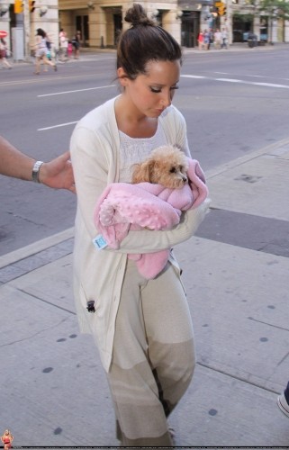 Ashley Tisdale Fotoğrafı