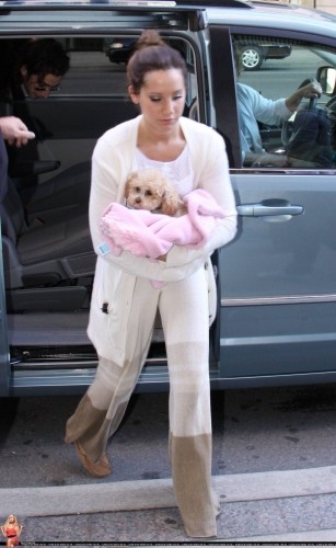 Ashley Tisdale Fotoğrafı