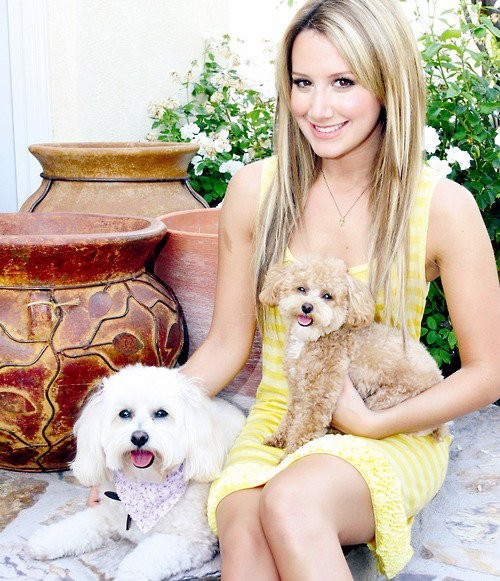 Ashley Tisdale Fotoğrafı