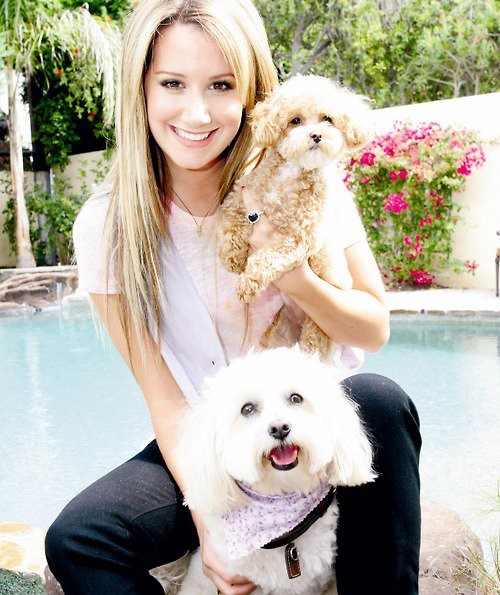 Ashley Tisdale Fotoğrafı