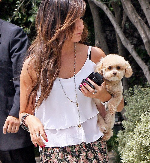 Ashley Tisdale Fotoğrafı