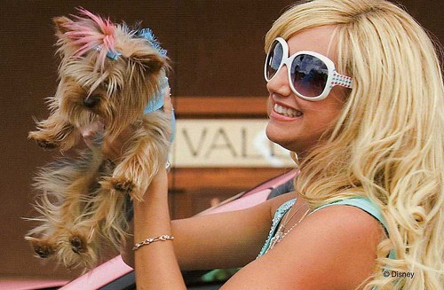 Ashley Tisdale Fotoğrafı