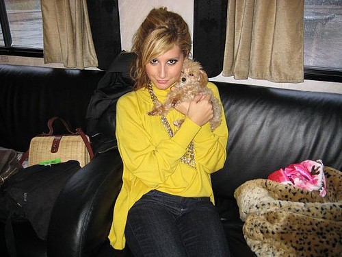Ashley Tisdale Fotoğrafı