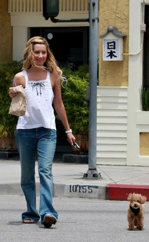 Ashley Tisdale Fotoğrafı