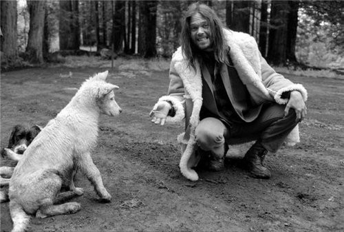 Neil Young fotoğrafı