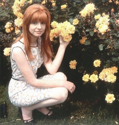 Jane Asher Fotoğrafı
