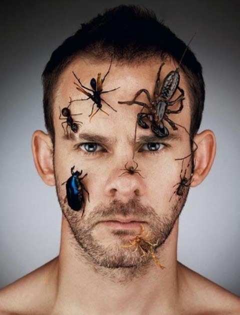 Dominic Monaghan Fotoğrafı