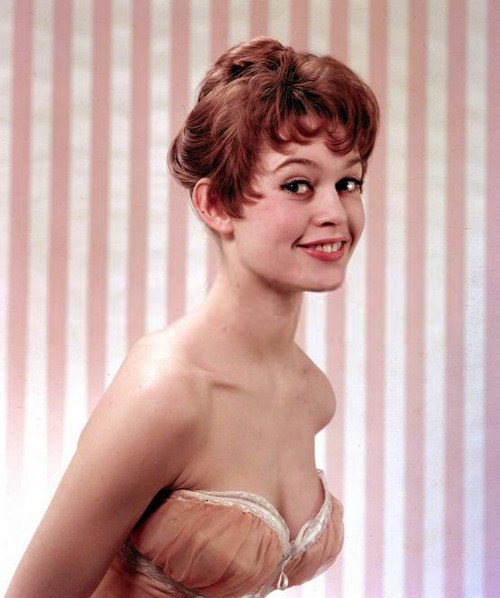 Brigitte Bardot Fotoğrafı