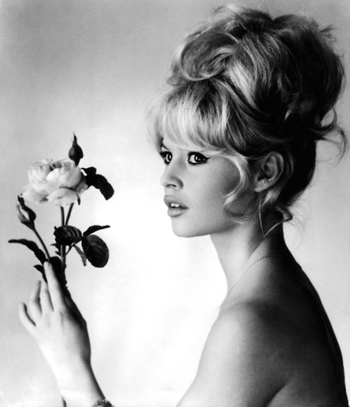 Brigitte Bardot Fotoğrafı