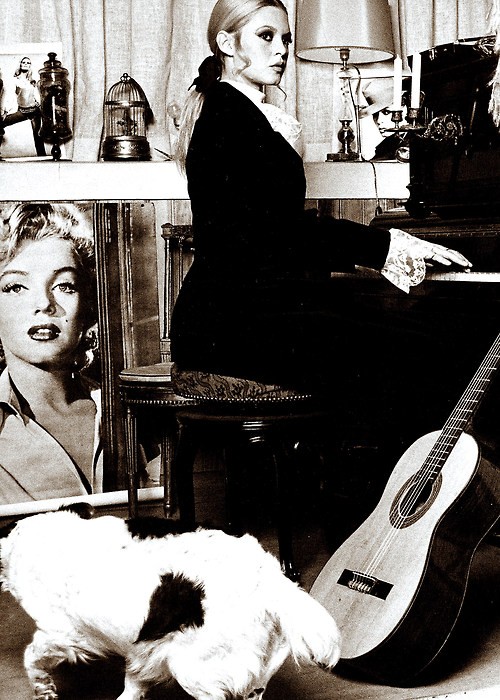 Brigitte Bardot Fotoğrafı