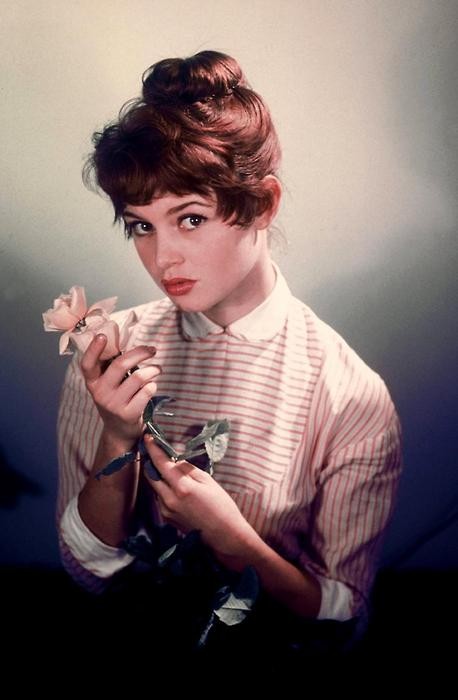 Brigitte Bardot Fotoğrafı
