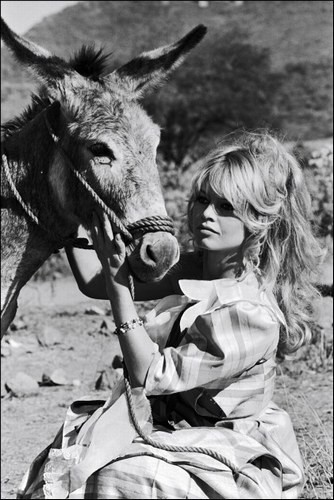 Brigitte Bardot Fotoğrafı