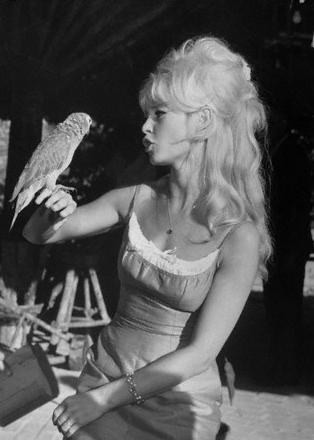 Brigitte Bardot Fotoğrafı