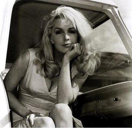 Stella Stevens fotoğrafı